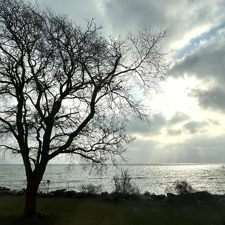 Refugium Mit Direktem Ostseeblick Apartamento