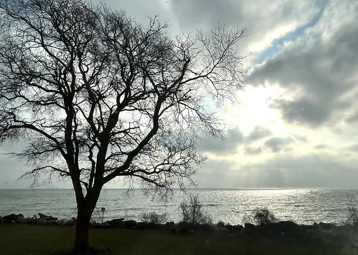Refugium Mit Direktem Ostseeblick Apartment